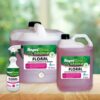 RapidClean Floral Deodoriser & Air Freshener - Image 5