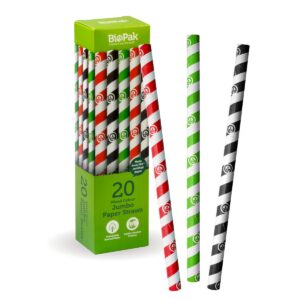 BioPak 10 Pack – 10mm Mixed Jumbo BioStraws